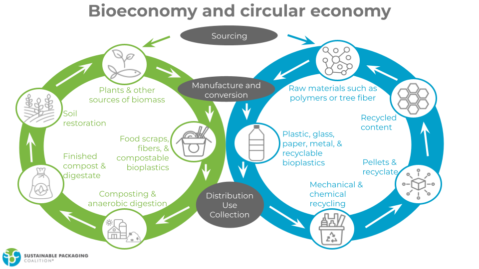 What is the Bioeconomy?